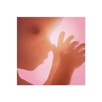 Pregnancy + thumbnail