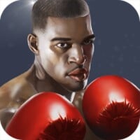 Punch Boxing 3D thumbnail