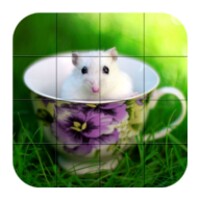 Puzzle - Cute Hamsters thumbnail