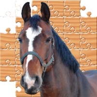 Puzzle Horses thumbnail