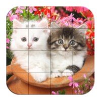 Puzzle-Kittens thumbnail