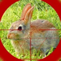 Rabbit Hunting thumbnail