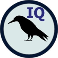 Raven IQ Test thumbnail