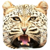 Real Cheetah Simulator thumbnail