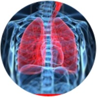 Respiratory System thumbnail