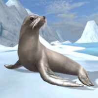 Sea Lion Simulator 3D thumbnail