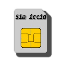 Sim Serial Number ( ICCID ) thumbnail
