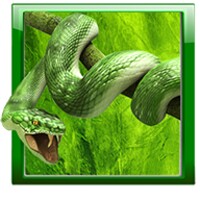 Snake Live Wallpaper thumbnail
