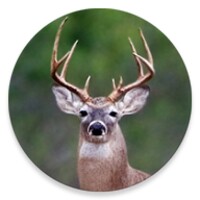 Whitetail Deer Calls thumbnail