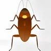 Cockroach on Desktop thumbnail