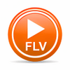 FLV Player thumbnail
