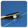Table Tennis Pro thumbnail