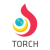 Torch Browser thumbnail