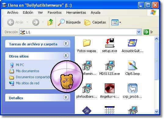 Hamster Ball Desktop Pet Download