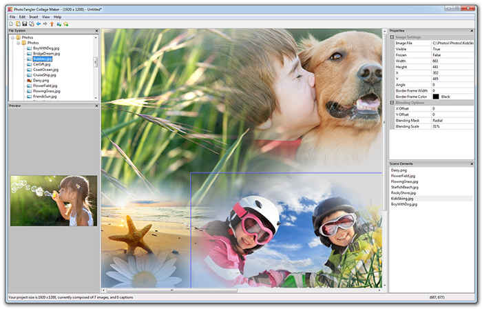 Phototangler Collage Maker Free Download