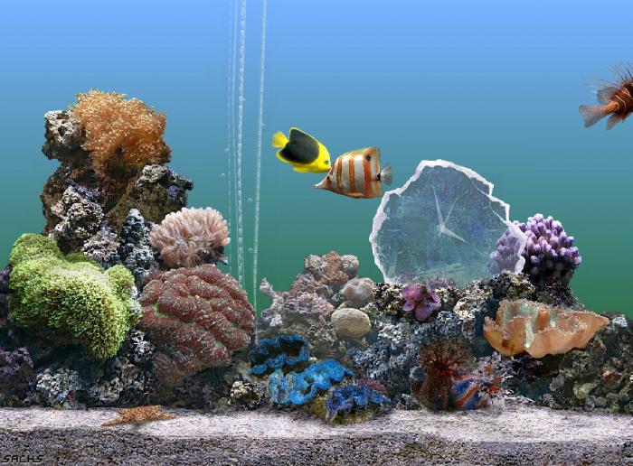 uninstall serenescreen marine aquarium 3