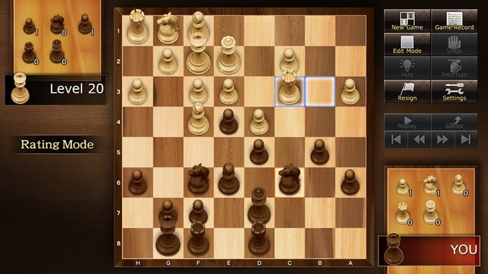 The Chess Lv.100 website