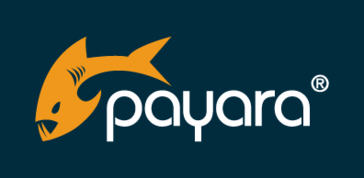 Payara Server thumbnail